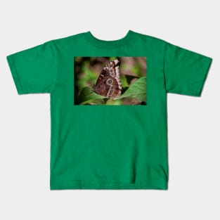 Butterfly. Kids T-Shirt